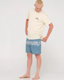 New Borli 19\\ Mens Boardshorts