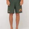 New Retro Flex Shattered 20\\ Mens Boardshorts