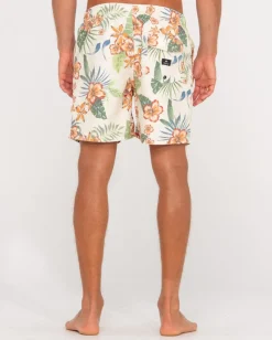 Cheap Selling The Dream Prined 18\\ Mens Boardshorts